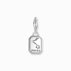 Clearance Charm-Anhänger Sternzeichen Fische mit Steinen Silber Damen Charms|Charms