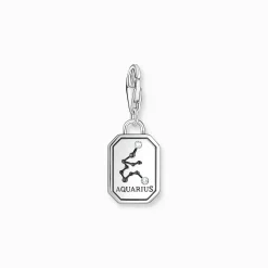 Cheap Charm-Anhänger Sternzeichen Wassermann mit Steinen Silber Damen Charms|Charms
