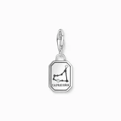 Outlet Charm-Anhänger Sternzeichen Steinbock mit Steinen Silber Damen Charms|Charms