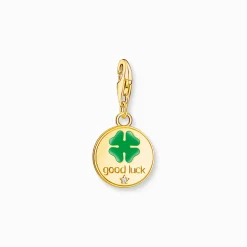 Shop Member Charm-Anhänger Medaille mit Gravuren und Steinen vergoldet Damen Charms|Charms